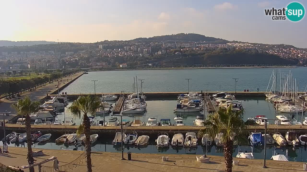 Der Hafen von Koper Live-Webcam – Kreuzfahrt- und Frachthafen – Slowenien