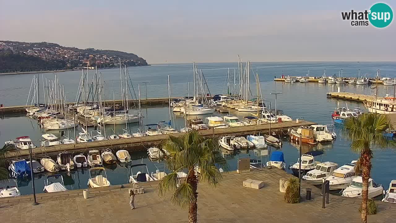 Spletna kamera Koper – Panorama na marino in promenado s Hotela Grand Koper