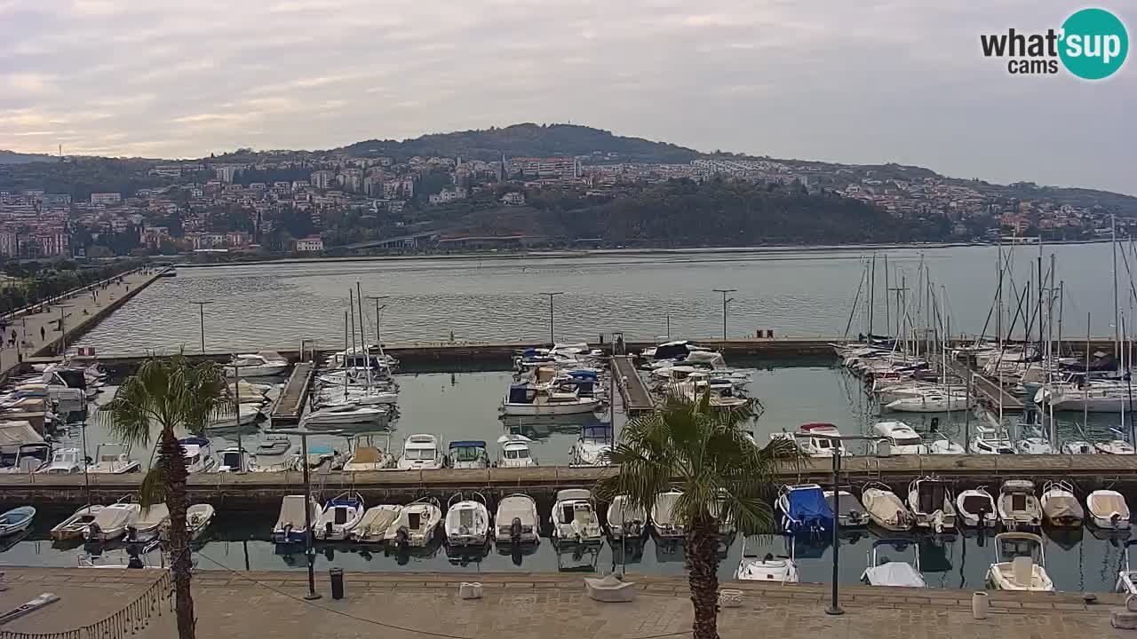 Spletna kamera Koper – Panorama na marino in promenado s Hotela Grand Koper