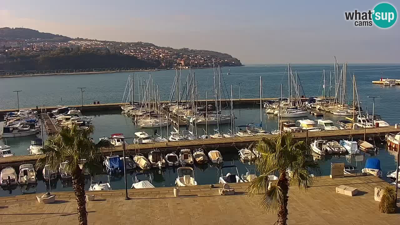 Webcam Koper – Panorama des Jachthafens und der Promenade vom Hotel Grand Koper