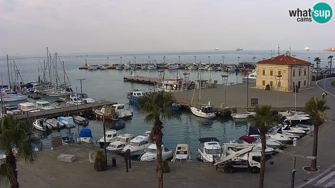 Spletna kamera Koper – Panorama na marino in promenado s Hotela Grand Koper