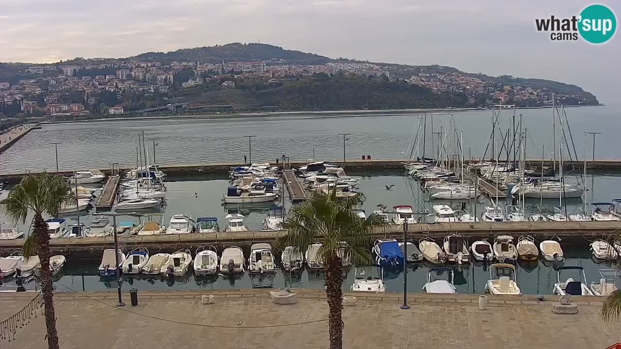 Spletna kamera Koper – Panorama na marino in promenado s Hotela Grand Koper