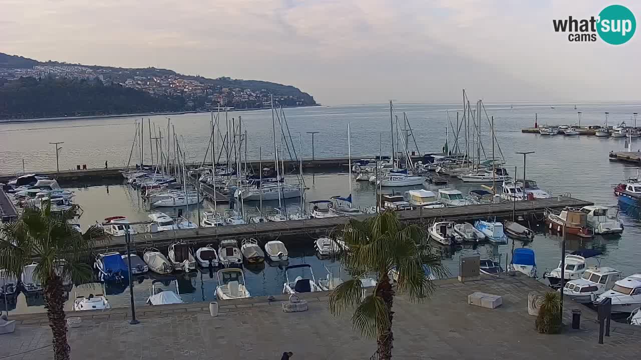 Camera en vivo Koper – puerto deportivo y paseo marítimo desde el Hotel Grand Koper