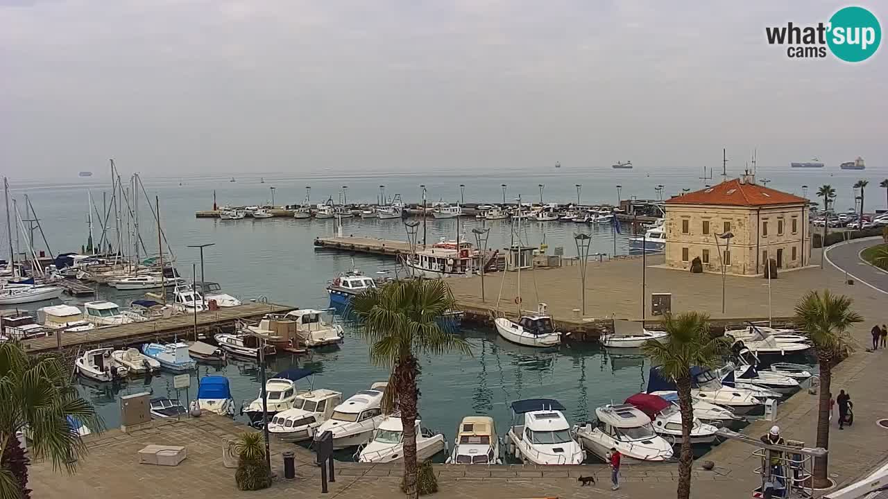 Camera en vivo Koper – puerto deportivo y paseo marítimo desde el Hotel Grand Koper