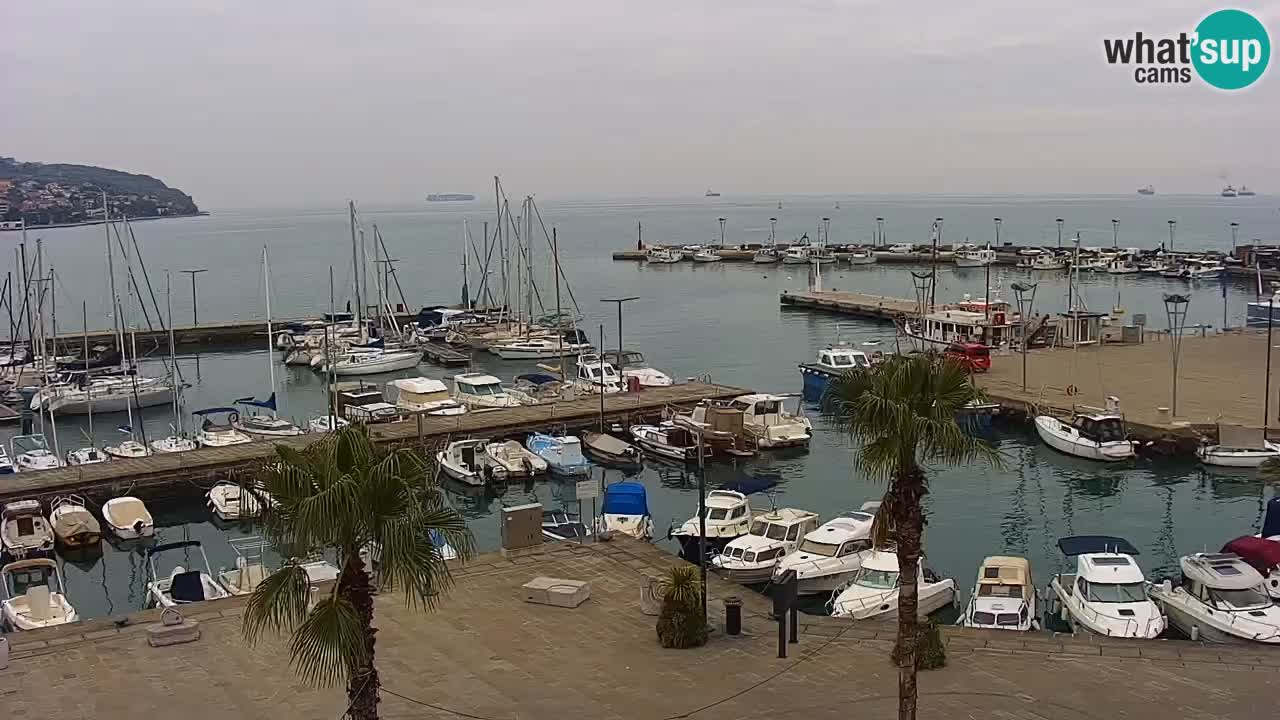 Webcam en vivo del Puerto de Koper – puerto de carga y cruceros – Eslovenia