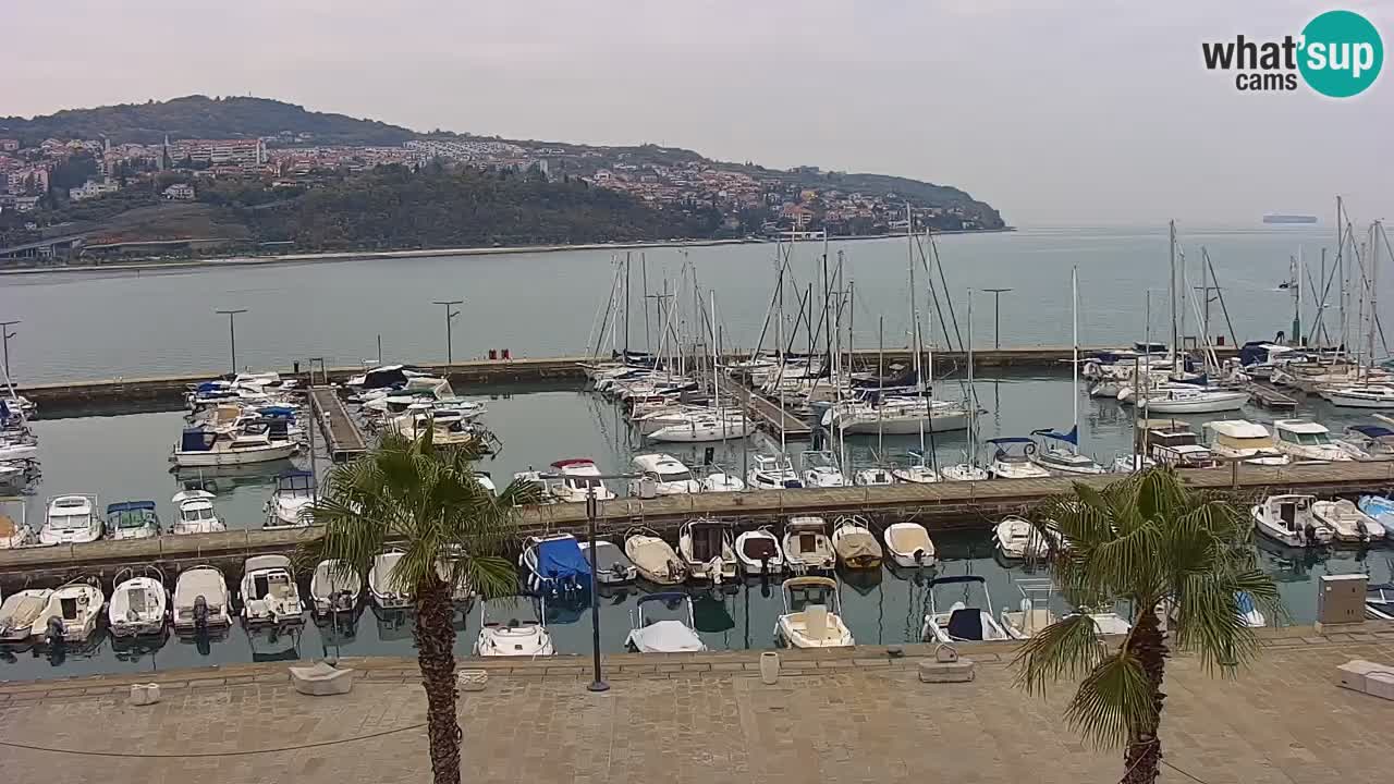 Camera en vivo Koper – puerto deportivo y paseo marítimo desde el Hotel Grand Koper