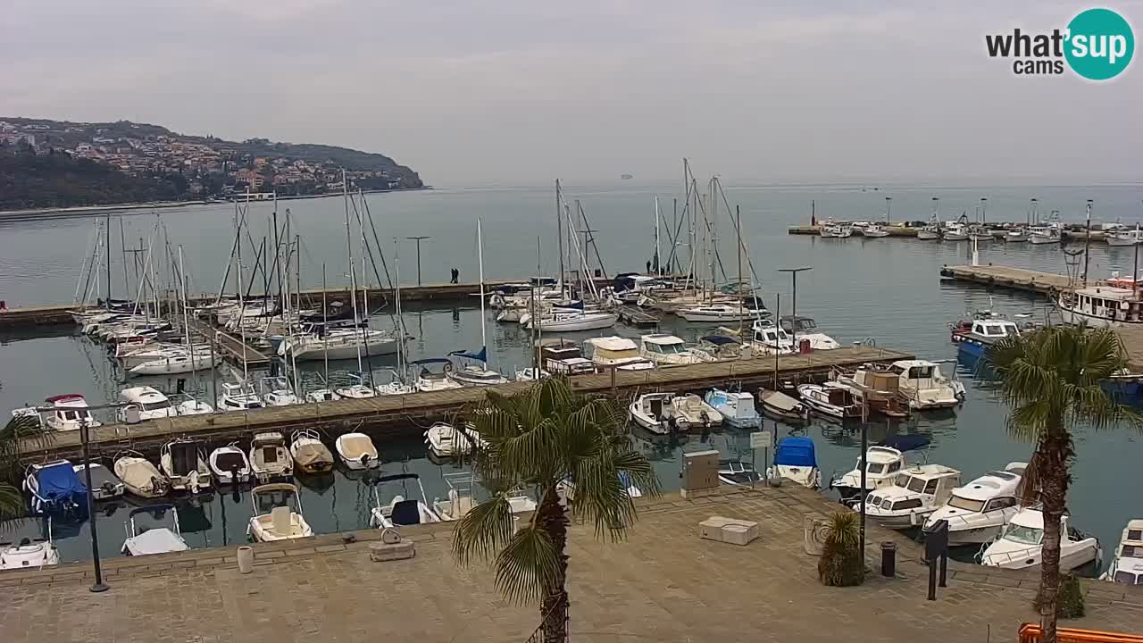 Il porto di Koper – Capodistria live webcam – porto crociere e mercantile – Slovenia