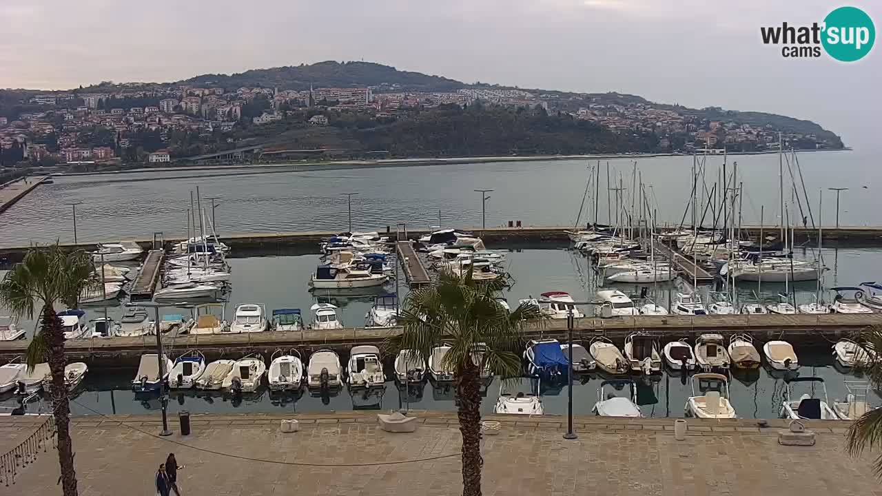 Camera en vivo Koper – puerto deportivo y paseo marítimo desde el Hotel Grand Koper