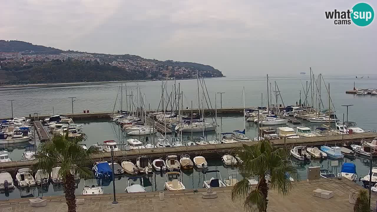 Webcam en vivo del Puerto de Koper – puerto de carga y cruceros – Eslovenia