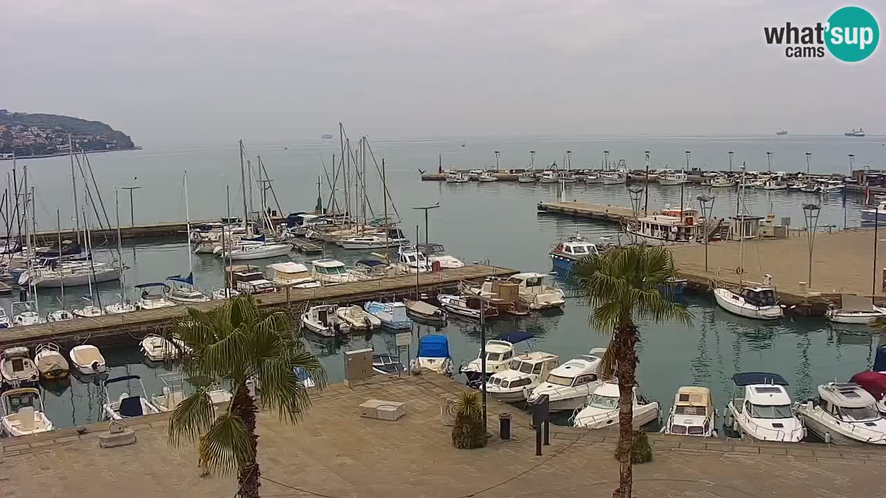 Camera en vivo Koper – puerto deportivo y paseo marítimo desde el Hotel Grand Koper