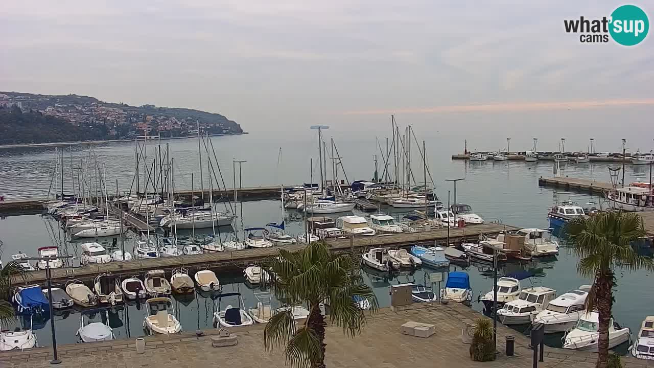 Webcam Capodistria – marina e lungo mare dall’Hotel Grand Koper