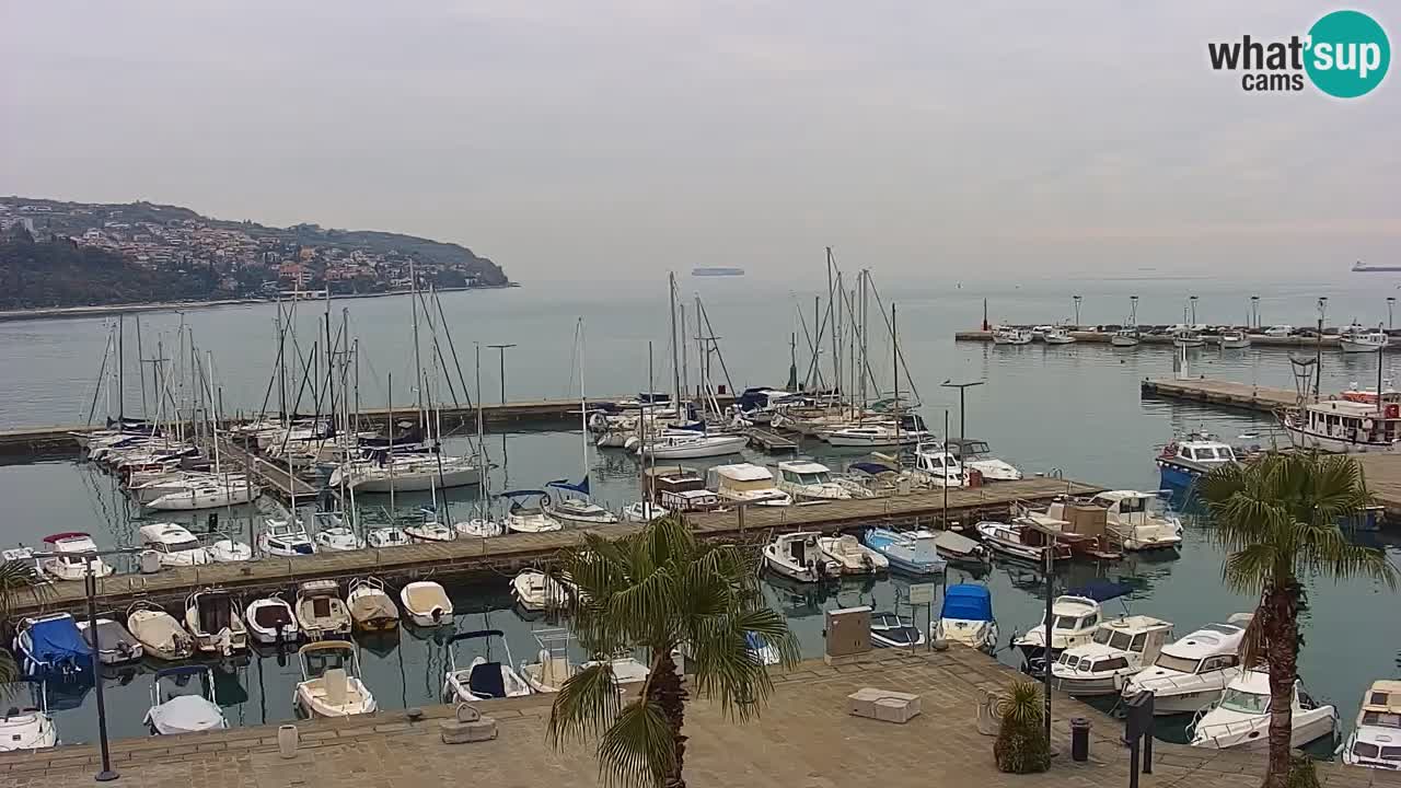 Webcam Capodistria – marina e lungo mare dall’Hotel Grand Koper