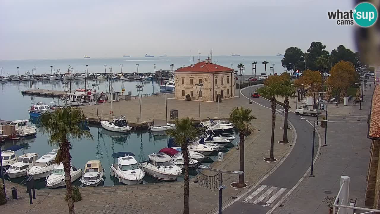 Spletna kamera Koper – Panorama na marino in promenado s Hotela Grand Koper