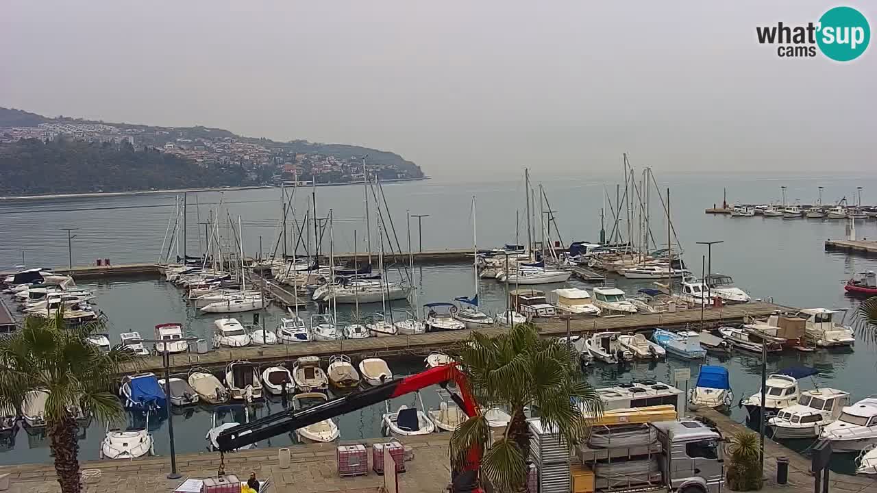 Spletna kamera Koper – Panorama na marino in promenado s Hotela Grand Koper