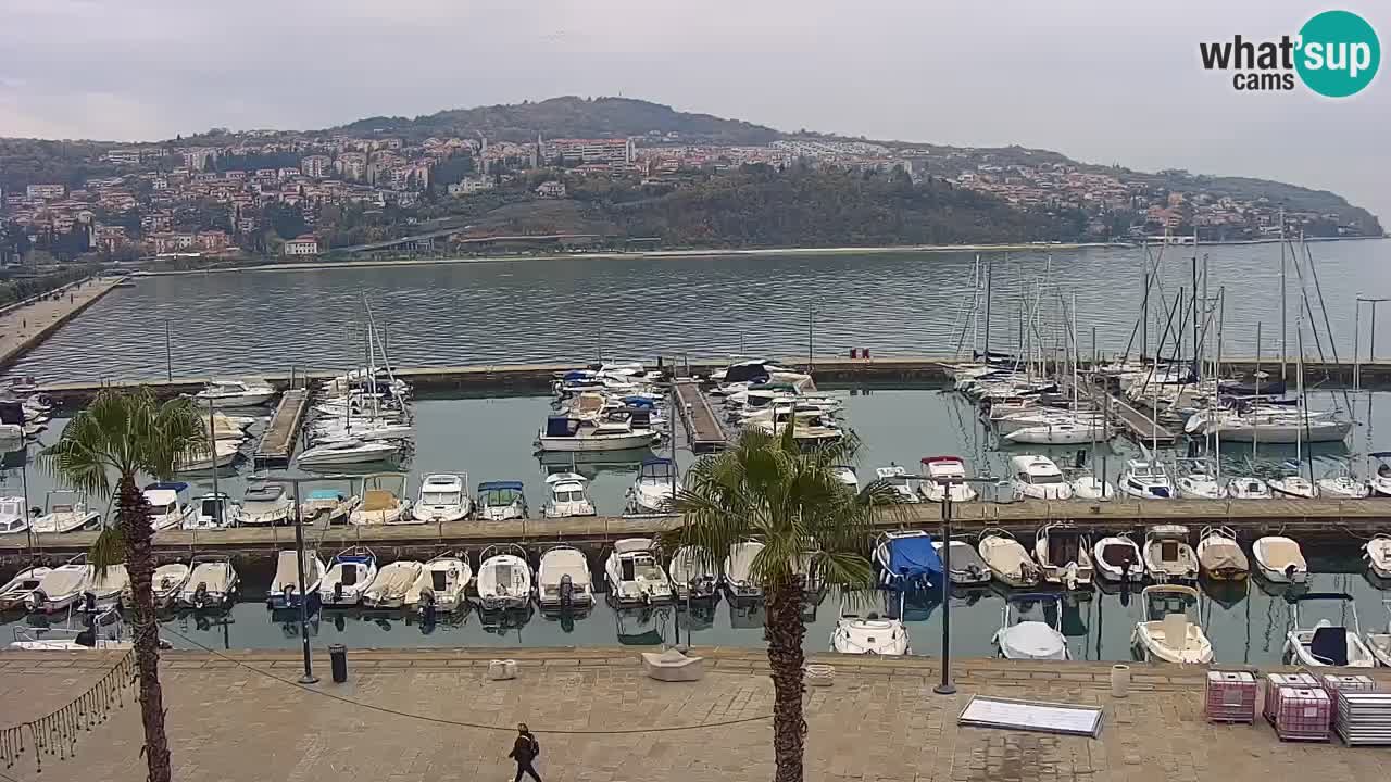 Il porto di Koper – Capodistria live webcam – porto crociere e mercantile – Slovenia