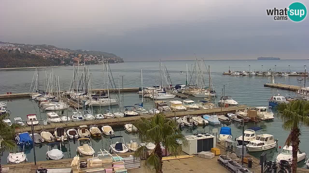 Camera en Vivo Koper – Ukmarjev trg