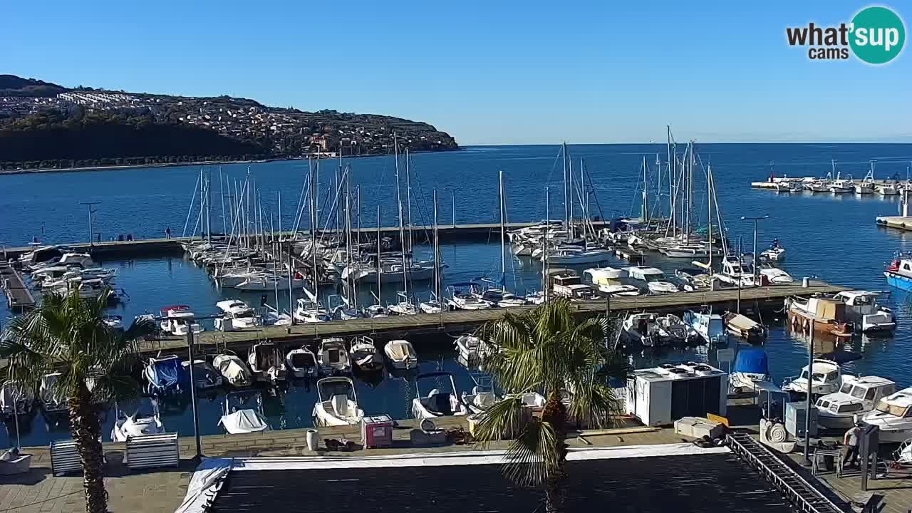 Spletna kamera Koper – Panorama na marino in promenado s Hotela Grand Koper