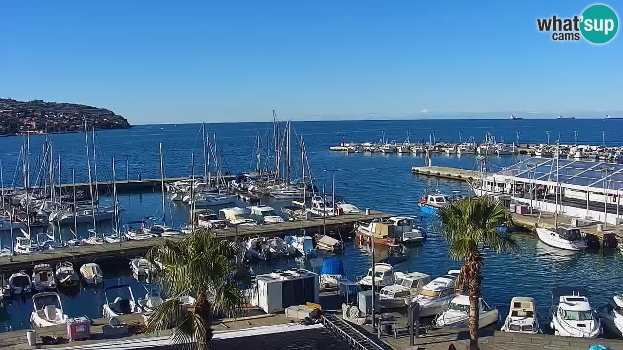 Spletna kamera Koper – Panorama na marino in promenado s Hotela Grand Koper