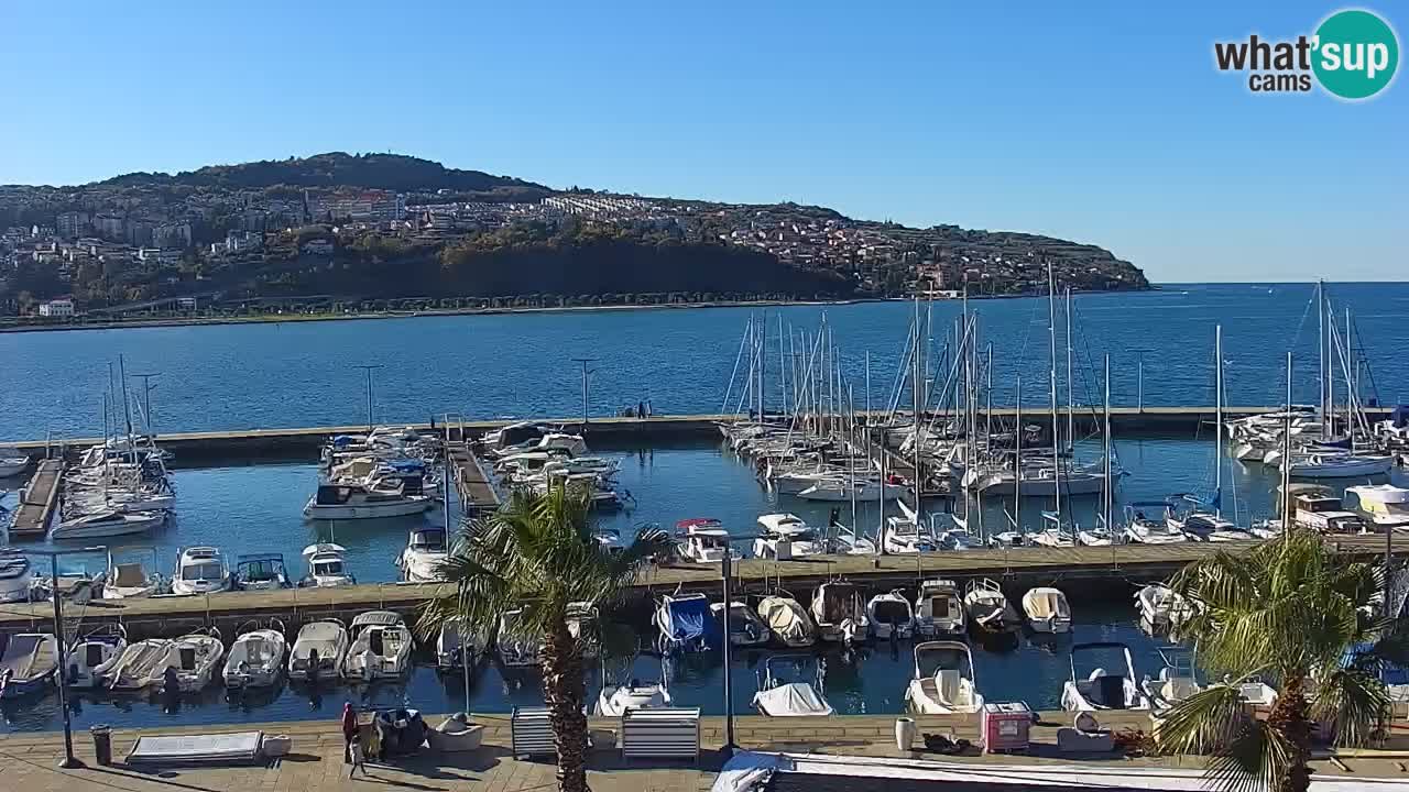 Spletna kamera Koper – Panorama na marino in promenado s Hotela Grand Koper