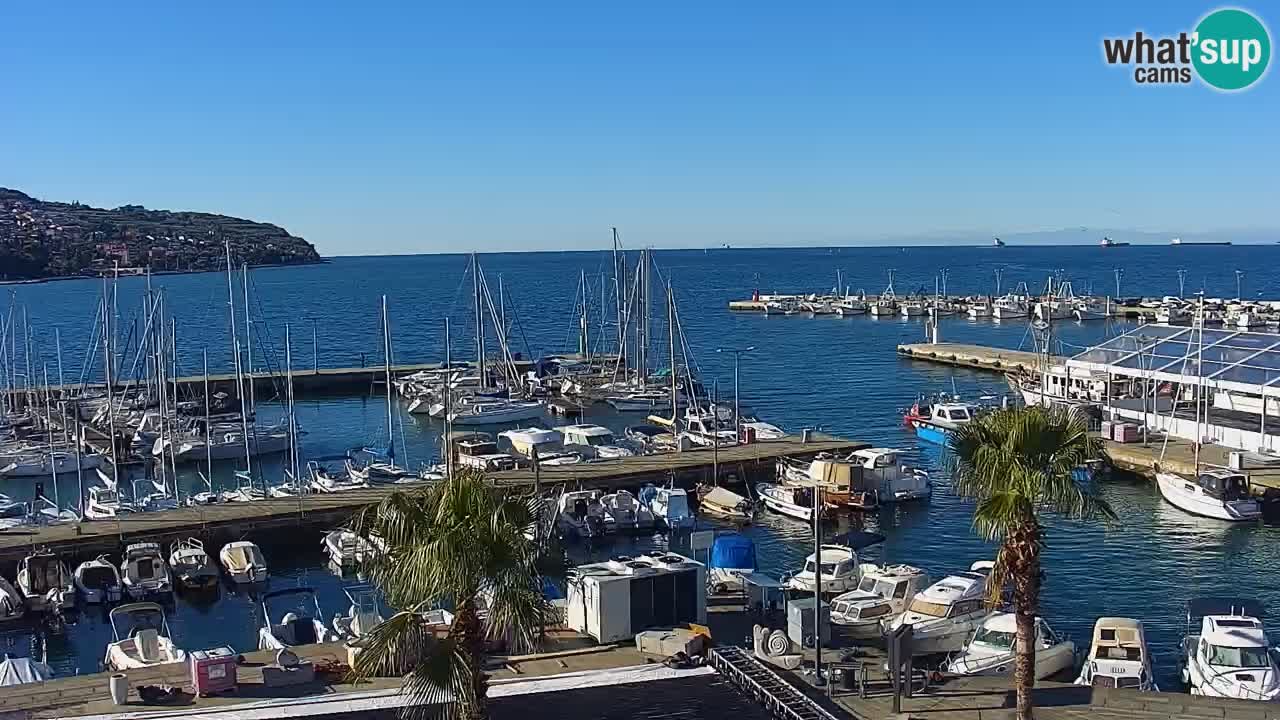 Webcam Koper – Ukmarjev trg