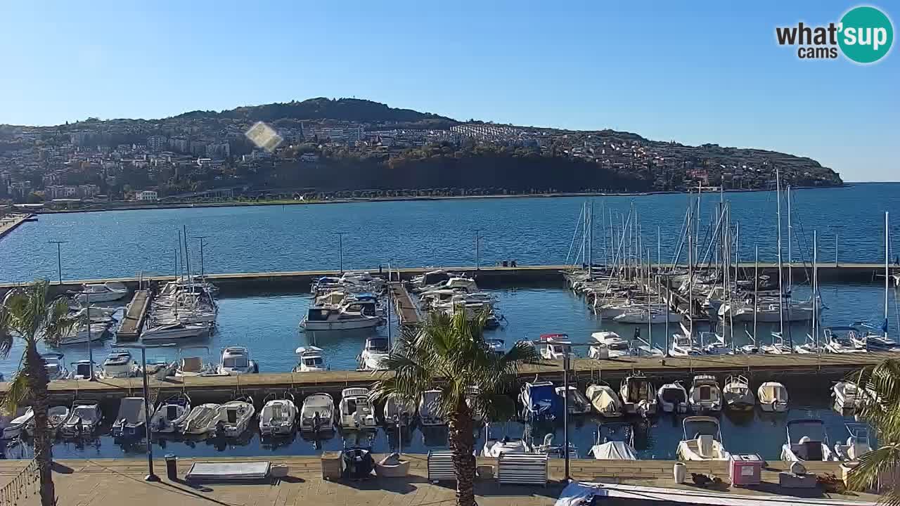 Camera en vivo Koper – puerto deportivo y paseo marítimo desde el Hotel Grand Koper