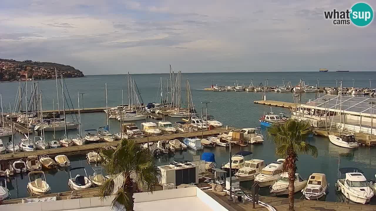 Spletna kamera Luka Koper v živo – Potniški terminal in tovorno pristanišče – Slovenija