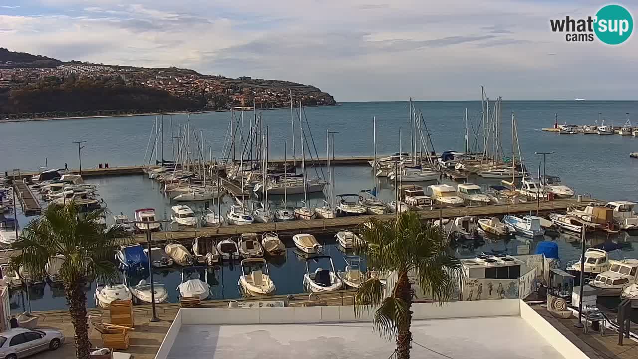 Der Hafen von Koper Live-Webcam – Kreuzfahrt- und Frachthafen – Slowenien