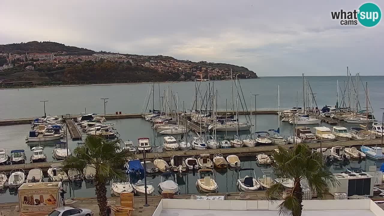 Webcam en vivo del Puerto de Koper – puerto de carga y cruceros – Eslovenia