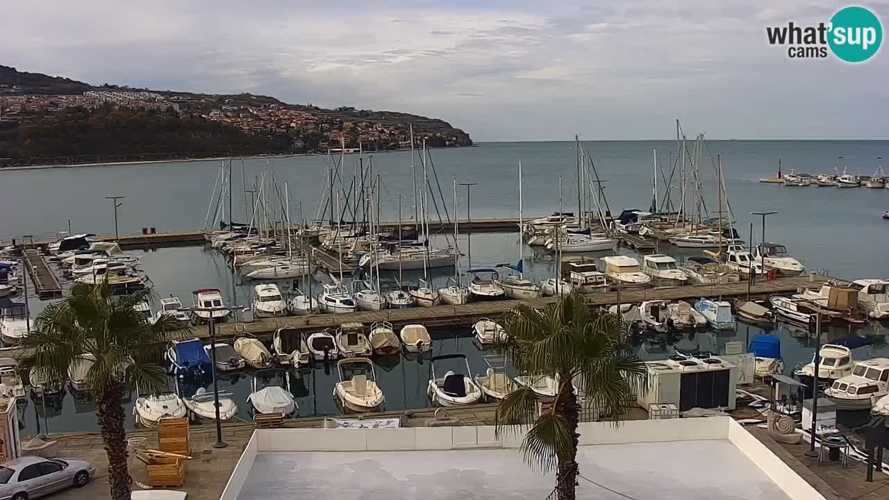 Webcam Koper – Panorama des Jachthafens und der Promenade vom Hotel Grand Koper