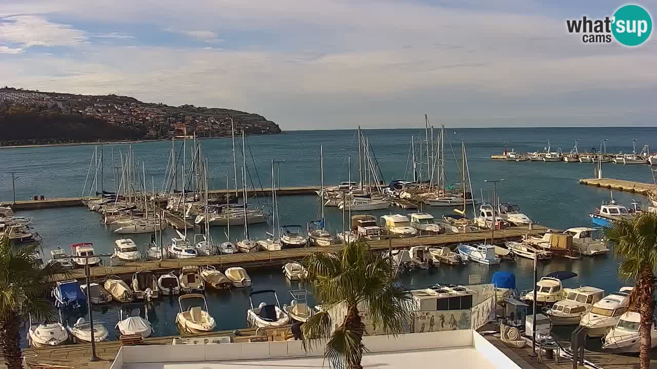 Webcam Koper – Panorama des Jachthafens und der Promenade vom Hotel Grand Koper