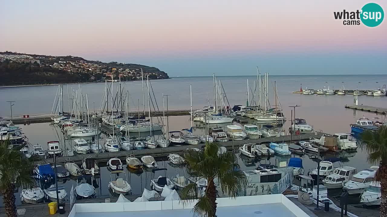 Der Hafen von Koper Live-Webcam – Kreuzfahrt- und Frachthafen – Slowenien