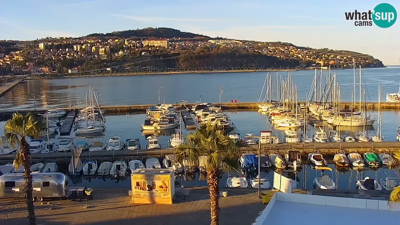 The Port of Koper live webcam – cruise and cargo port – Slovenia