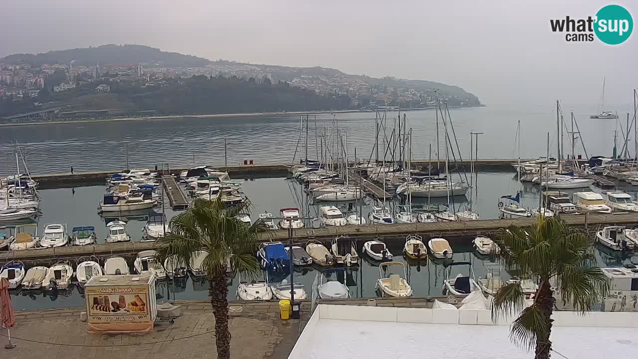 Spletna kamera Luka Koper v živo – Potniški terminal in tovorno pristanišče – Slovenija