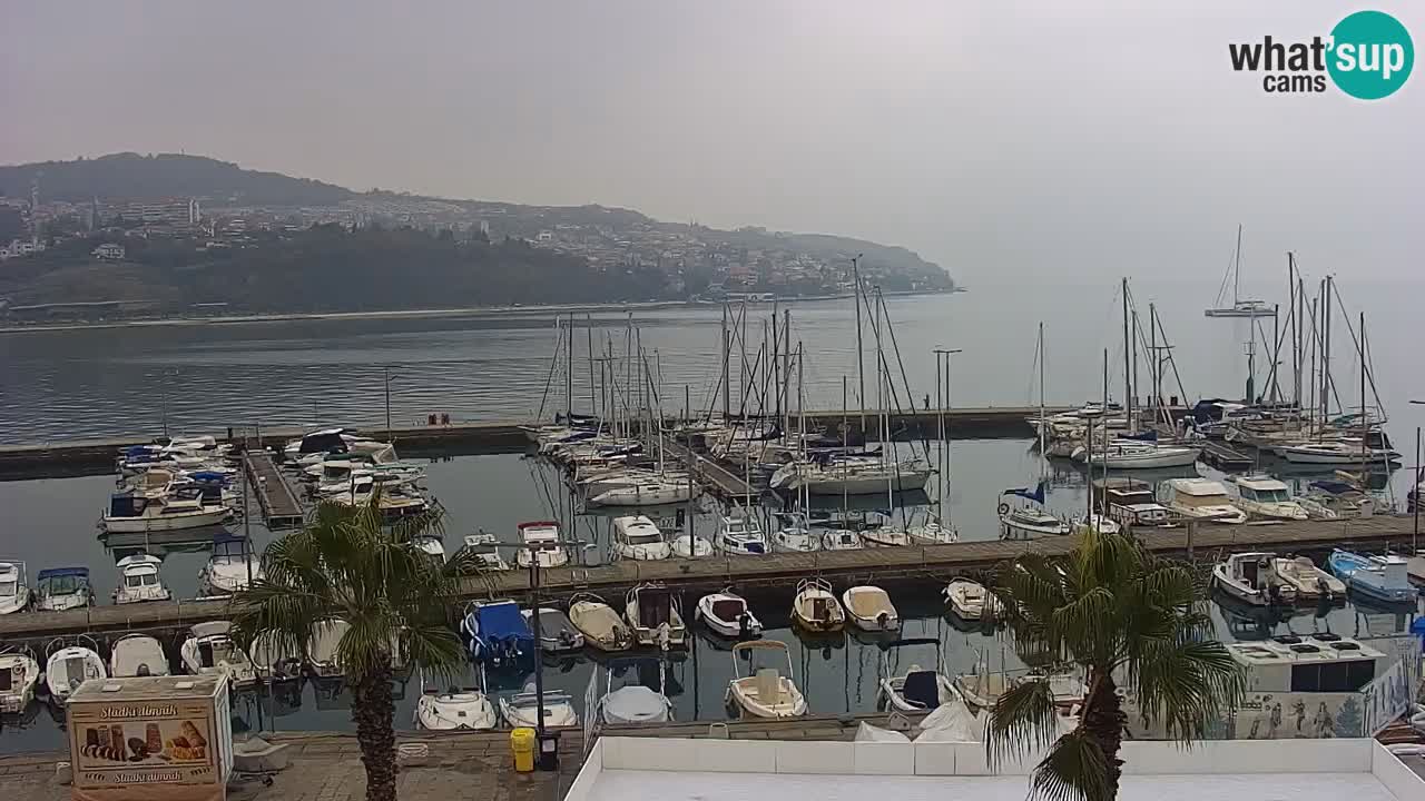 Spletna kamera Koper – Panorama na marino in promenado s Hotela Grand Koper