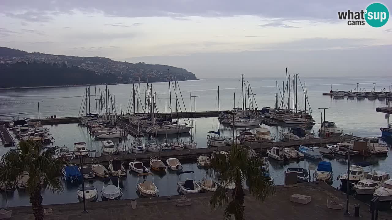 Der Hafen von Koper Live-Webcam – Kreuzfahrt- und Frachthafen – Slowenien