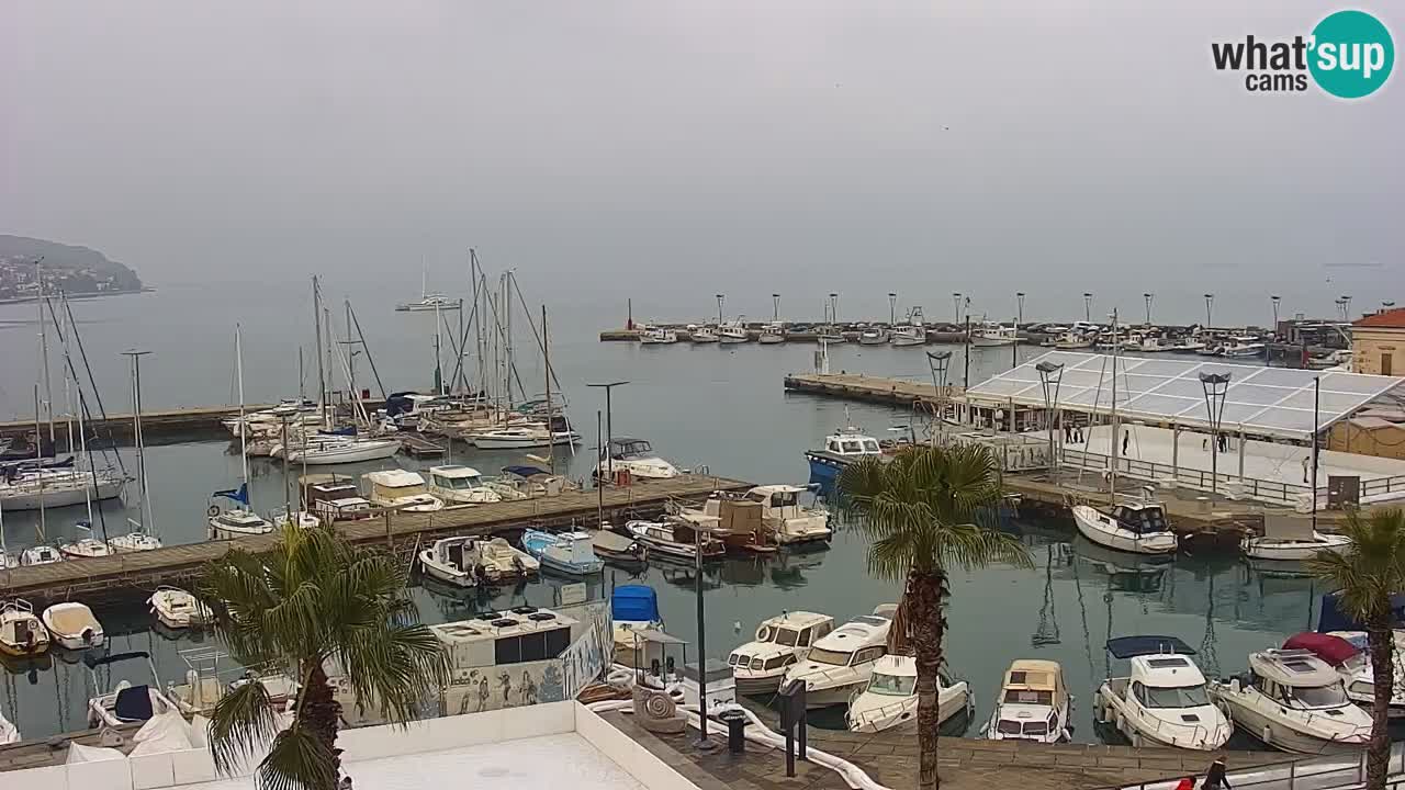 Spletna kamera Koper – Panorama na marino in promenado s Hotela Grand Koper