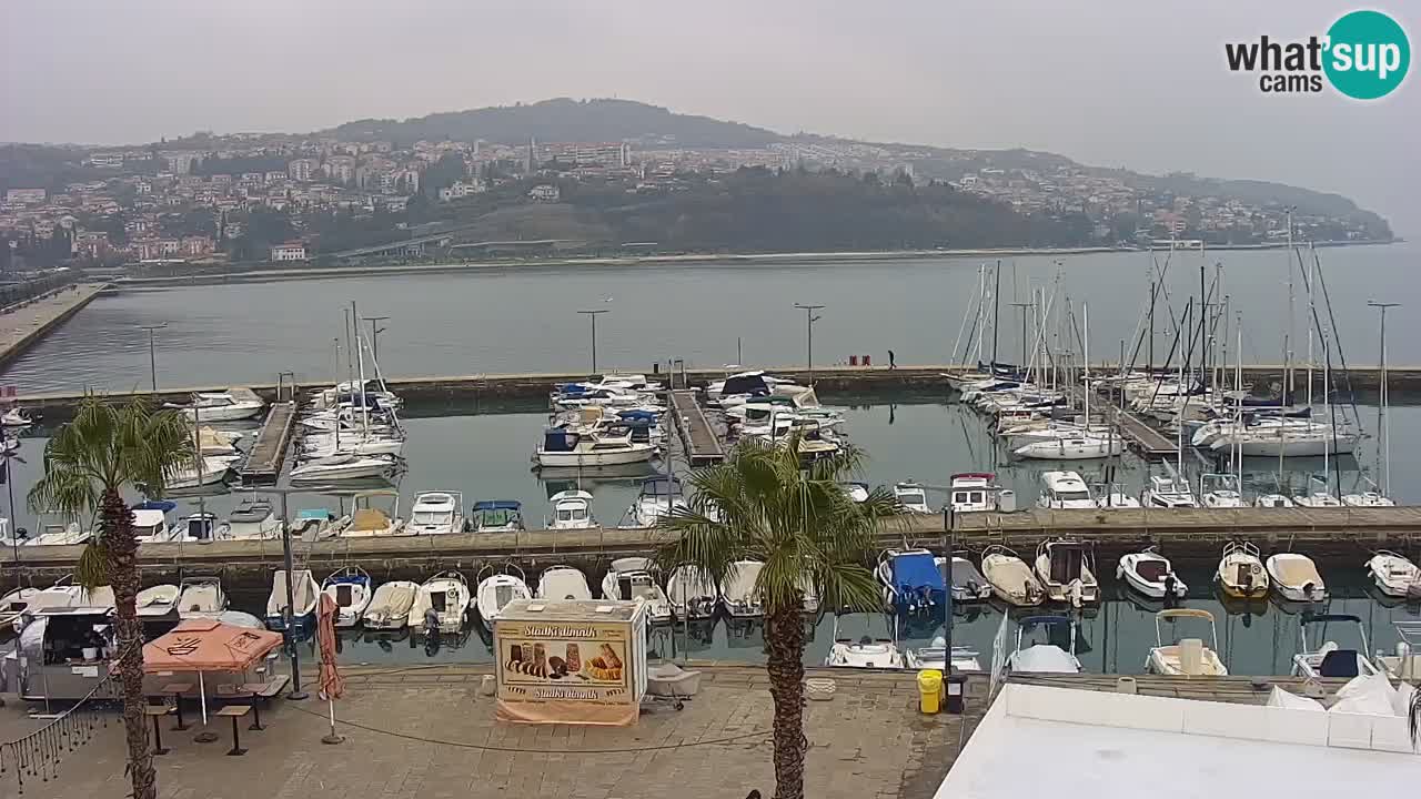 Webcam Koper – Panorama des Jachthafens und der Promenade vom Hotel Grand Koper