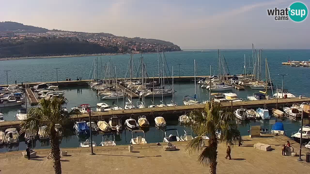 Webcam Koper – Panorama de la marina et de la promenade depuis le Grand Hotel Koper