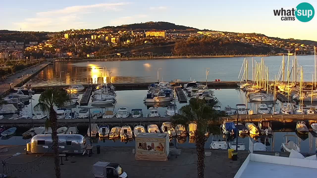 Livecam Koper – Ukmarjev trg