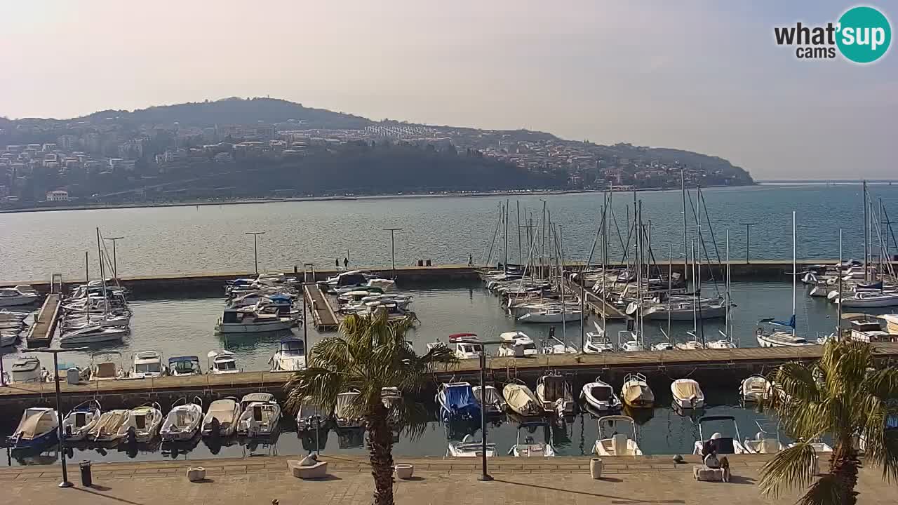 Webcam Koper – Panorama de la marina et de la promenade depuis le Grand Hotel Koper