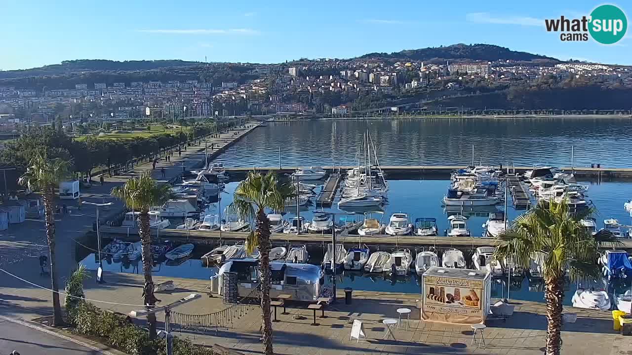 Der Hafen von Koper Live-Webcam – Kreuzfahrt- und Frachthafen – Slowenien