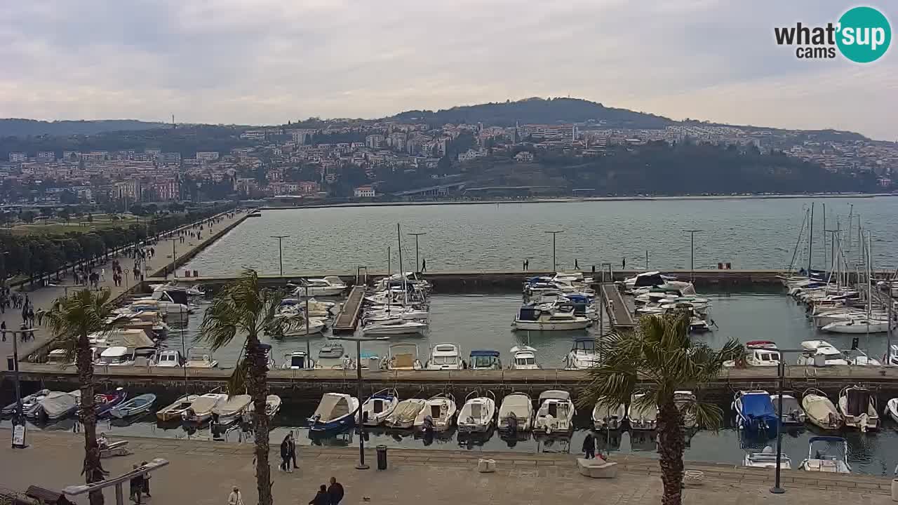 Camera en vivo Koper – puerto deportivo y paseo marítimo desde el Hotel Grand Koper