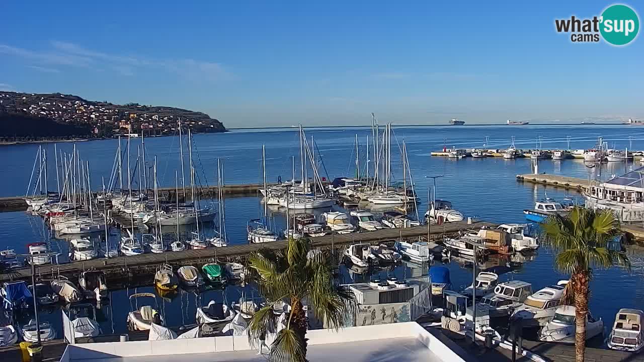 Camera en Vivo Koper – Ukmarjev trg