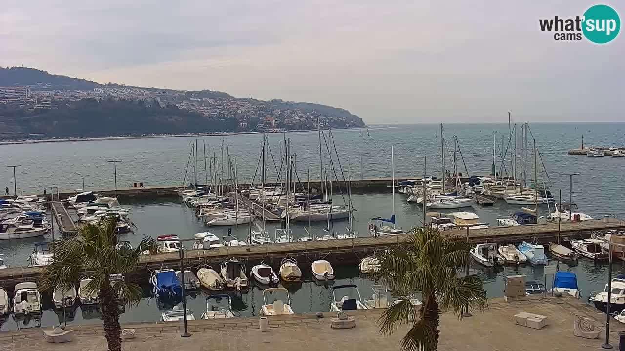 Webcam Koper – Ukmarjev trg