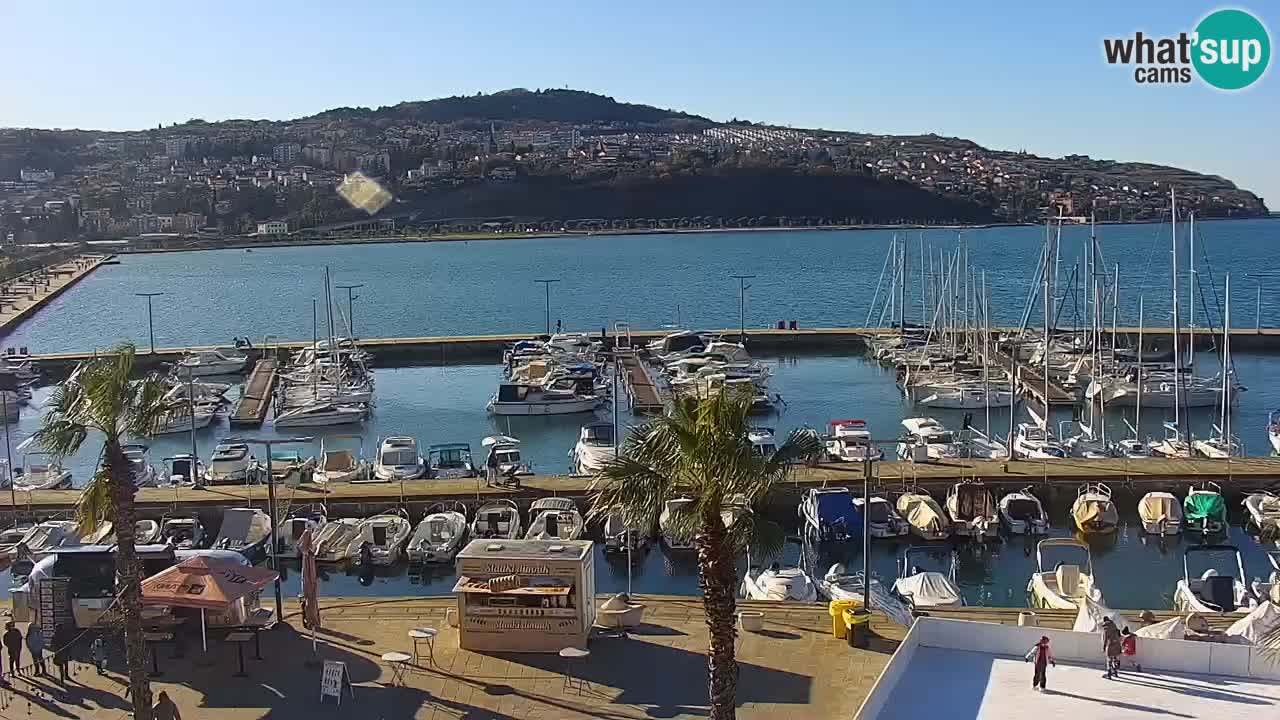 Der Hafen von Koper Live-Webcam – Kreuzfahrt- und Frachthafen – Slowenien