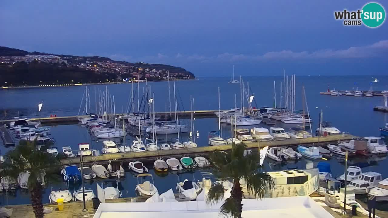 Camera en vivo Koper – puerto deportivo y paseo marítimo desde el Hotel Grand Koper