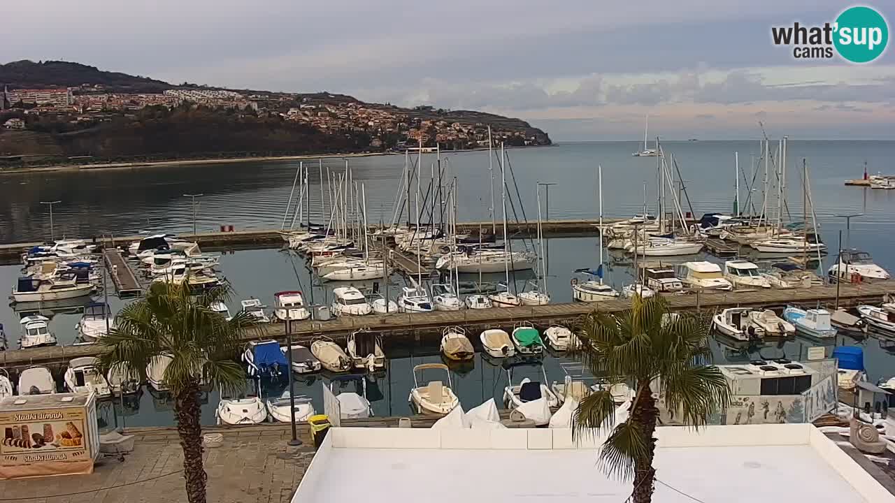 Der Hafen von Koper Live-Webcam – Kreuzfahrt- und Frachthafen – Slowenien