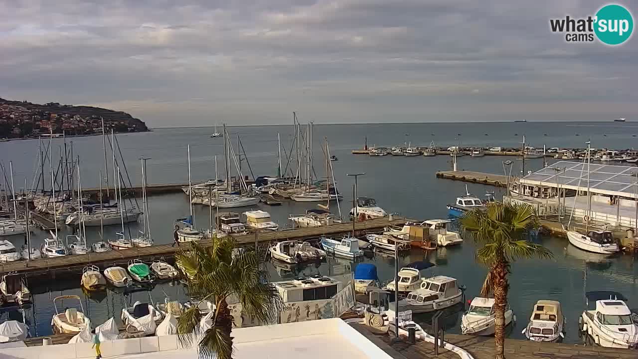 Webcam Koper – Panorama des Jachthafens und der Promenade vom Hotel Grand Koper