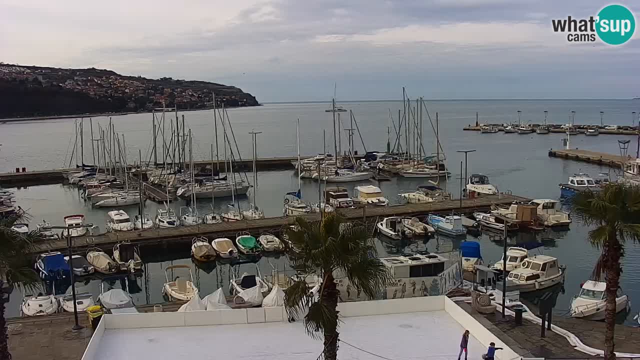 Webcam Koper – Panorama of the marina and promenade from the Grand Hotel Koper