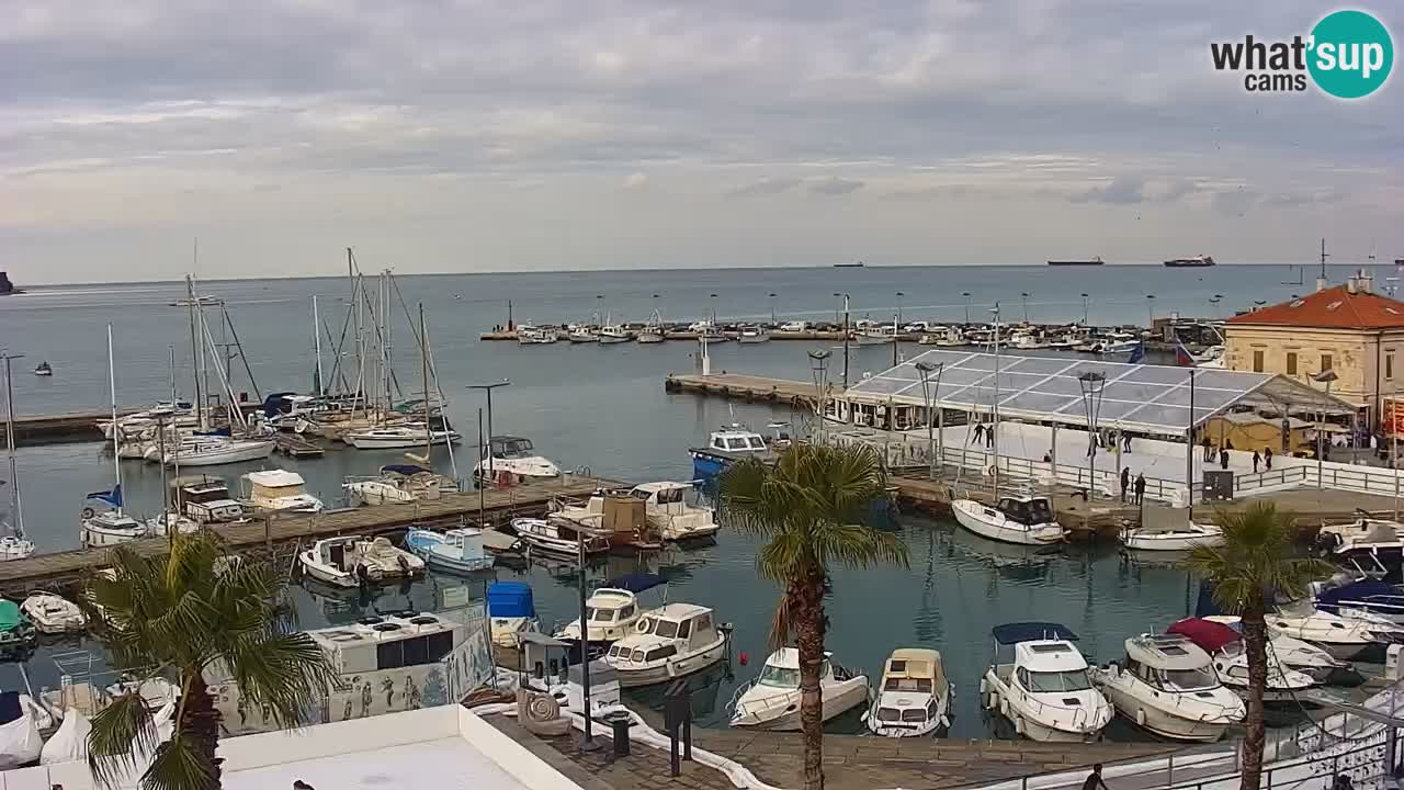 Webcam Koper – Panorama of the marina and promenade from the Grand Hotel Koper